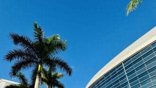 【WBC】決戦の地マイアミで50人に聞いた、優勝候補の筆頭は果たして…