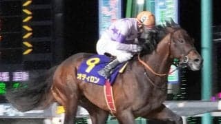 【ダイオライト記念】「兵庫最強馬として、ここにきた」吉村智洋騎手が会心騎乗で７番人気オディロン大金星