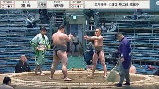 「細つよ」16歳170cmの小兵力士が驚異の押し出し　「すごい」「やっぱりセンスある」館内どよめき