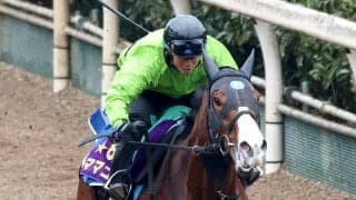 【注目馬動向】高松宮記念のママコチャは引き続き川田将雅騎手とのコンビで出走へ