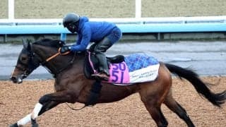 【注目馬動向】アートバーゼルが予定していた来週のフラワーＣを回避して放牧へ