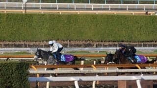 アドマイヤテラ、阪神大賞典1週前追い切り速報/栗東トレセンニュース