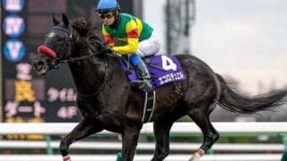 【阪神SJ出走馬・騎手確定】エコロデュエル＆草野太郎騎手、ネビーイーム＆小牧加矢太騎手など10頭