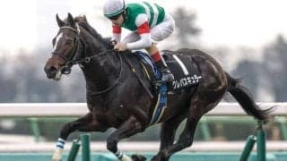 【スプリングS出走馬・騎手確定】クレパスキュラー＆C.ルメール騎手、アスクエジンバラ＆岩田康誠騎手など16頭