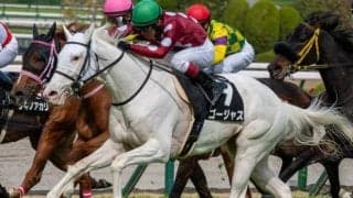 ゴールドシップ産駒の白毛 ゴージャスが復活の2勝目なるか