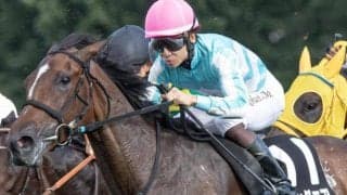 全姉は三冠牝馬のデアリングタクト デアリングエアが待望の2勝目なるか