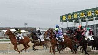 門別競馬場で2歳馬の「競走能力・発走調教検査」が開始