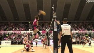 女子バレー、選手が鼻に詰め物姿でコートへ…カメラが捉えた珍光景 花粉症の影響か？