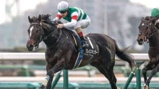 【スプリングS枠順確定】クレパスキュラーは6枠12番、アスクエジンバラは1枠2番