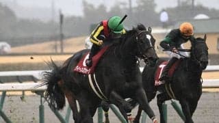 【金鯱賞枠順確定】クイーンズウォークは7枠12番、ジョバンニは3枠3番
