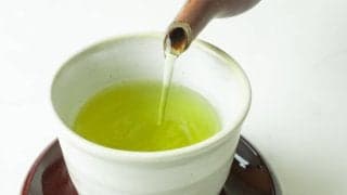 緑茶はダイエットに効果ある？カテキンと体脂肪の関係を専門家が解説