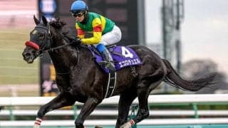 【阪神SJ枠順確定】エコロデュエルは2枠2番、ネビーイームは8枠10番