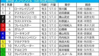 【スプリングS／枠順】7・8枠が好成績も“多頭数なら話は別”　ノーザンF生産3騎が「1.0.0.16」該当