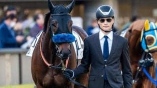 デビューから5戦連続2着のイナズマダイモン 今度こそ初勝利なるか