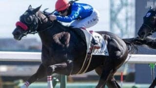 中山芝は展開一つ 幕張Sは中山巧者のストレイトトーカーに期待