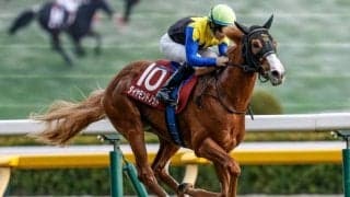 【ファルコンS想定馬・騎手】ダイヤモンドノット、タマモイカロスなど19頭
