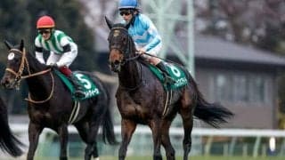 【愛知杯想定馬・騎手】ドロップオブライト、ワイドラトゥールなど24頭