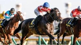 【阪神大賞典想定馬・騎手】ダノンシーマ、アドマイヤテラなど11頭