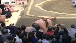 危ない！安青錦、3敗目の裏でまさかのハプニング　土俵下に転落で「カメラマン被弾」中継が捉えた危機一髪の一幕
