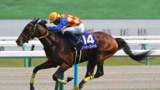 テーオーロイヤルが引退、種牡馬入り