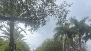 【WBC】侍ジャパンが翌日のベネズエラ戦へ向け練習、決戦に備える　先発は山本由伸の予定