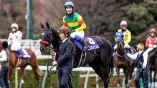 【今日の注目ポイント】阪神SJと桜花賞TRアネモネS