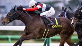 アネモネSは「3番人気」「キングマンボ系」に注目