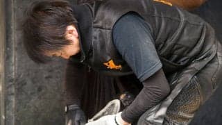 【装蹄師・西内荘コラム】揺れる中東情勢とドバイ遠征