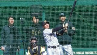 阪神　ドラフト１位・立石正広が衝撃アーチ２発　初ライブＢＰで強烈打球　右へ左へ広角にたたき込む　フリー打撃でも柵越え１０発