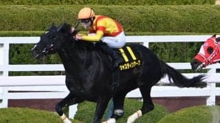 【コーラルS結果】2番人気ジャスティンアースがオープン初勝利