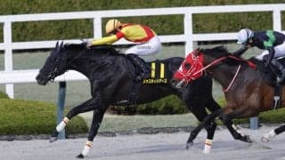 【コーラルS】ジャスティンアースがオープン初勝利…人気のビダーヤは2着