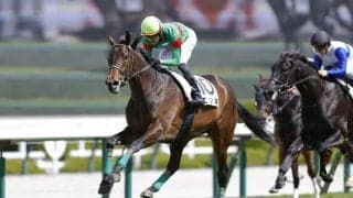 【阪神5R】良血エンネの直線一気炸裂…半兄にはファントムシーフ