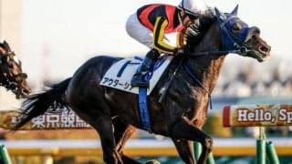 【スプリングS予想】前走で新馬や未勝利に出走馬は苦戦！ 人気の一角に気になる消去法データ