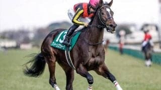 【金鯱賞前日オッズ】クイーンズウォークが3.8倍で1番人気