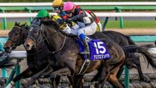 中山芝はキンカメ系＆先行馬がポイント スプリングSはアスクエジンバラが軸だ