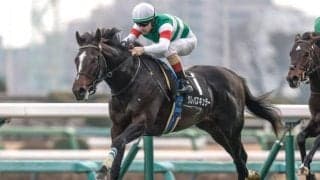 【AI予想・スプリングS】デビューから圧巻のパフォーマンスで能力は相当！ 無敗での重賞制覇に人工知能も太鼓判