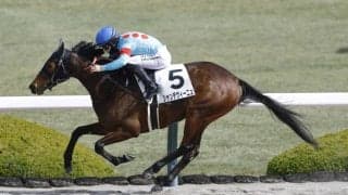 柴田卓調教師が初勝利