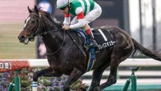 【今日の注目ポイント】中山でスプリングSと中京で金鯱賞