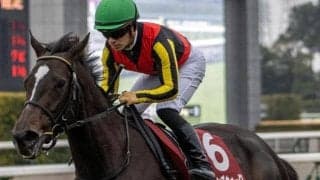 金鯱賞は1番人気を信頼 前走4-9着馬が好成績で注目