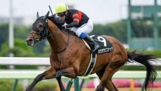 【金鯱賞予想】大阪杯への最重要ステップ 本番を占ううえで見逃せぬ一戦