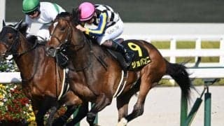 【金鯱賞予想】今年も狙う5つの重要キーワード 過去データから探るGII金鯱賞