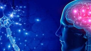 なぜ運動で脳は活性化されるのか。脳の活性化の方法をスポーツメンタルコーチが解説！