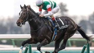 【スプリングS・馬体重】クレパスキュラーは486kg(+8)、アスクエジンバラは458kg(+2)