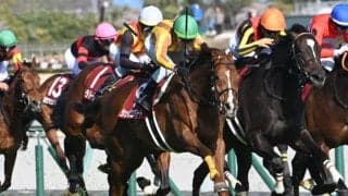 【JRA・WIN5】本日のWIN5は的中17票、配当3499万7770円