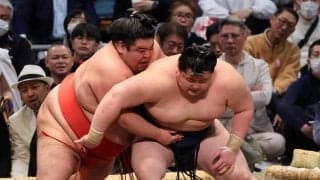 十両若ノ勝が嘉陽に敗れて連勝止まるも充実「内容が良い取り組み多い」連勝再開へ「集中したい」