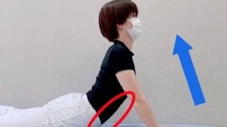 【医師に相談】前立腺炎（慢性前立腺炎）とはどのような病気ですか？