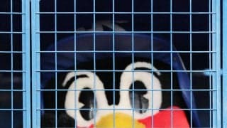 【ヤクルト】「つば九郎」Ｘトレンド入り「少しでも見られて」「涙でた」姿見せ、31日活動再開