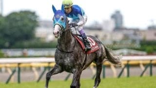 阪神大賞典、愛知杯など4重賞/今週の競馬界の見どころ