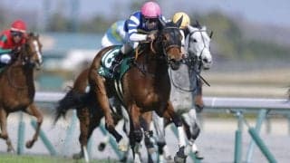 【愛知杯登録馬】連覇かかるワイドラトゥールなど21頭