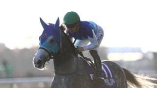 【阪神大賞典登録馬】アドマイヤテラなど11頭